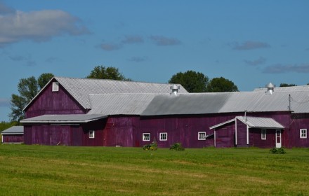 Purple Barn