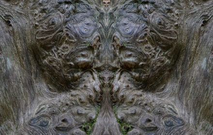 Gnarly Diptych #2