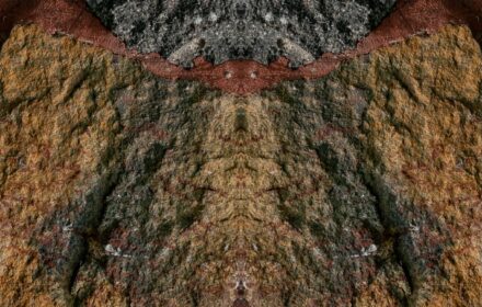 Shiloh Dip 3D