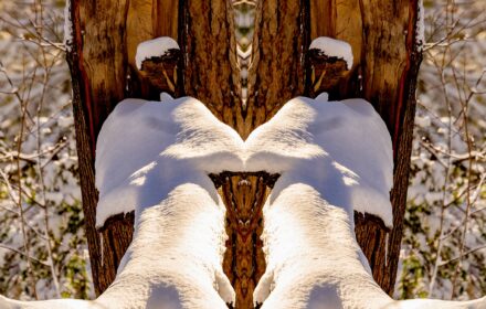 Snow Angel Dip Crop