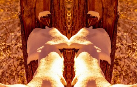 Snow Angel Dip Sepia Crop