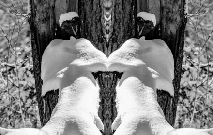 Snow Angels BW Crop