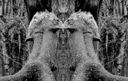 Spring Kiss BW Crop