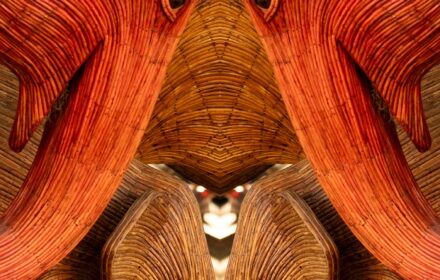 Elephants Walk Gallery